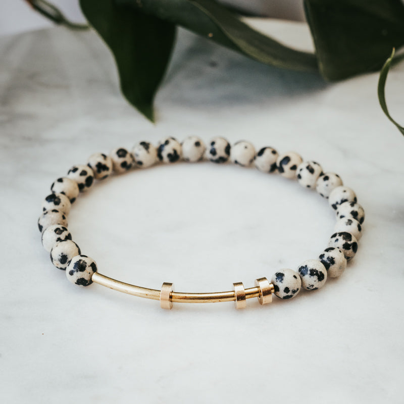 Fidget Dalmatian Jasper Bracelet