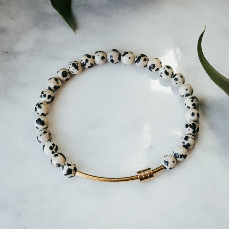 Fidget Dalmatian Jasper Bracelet