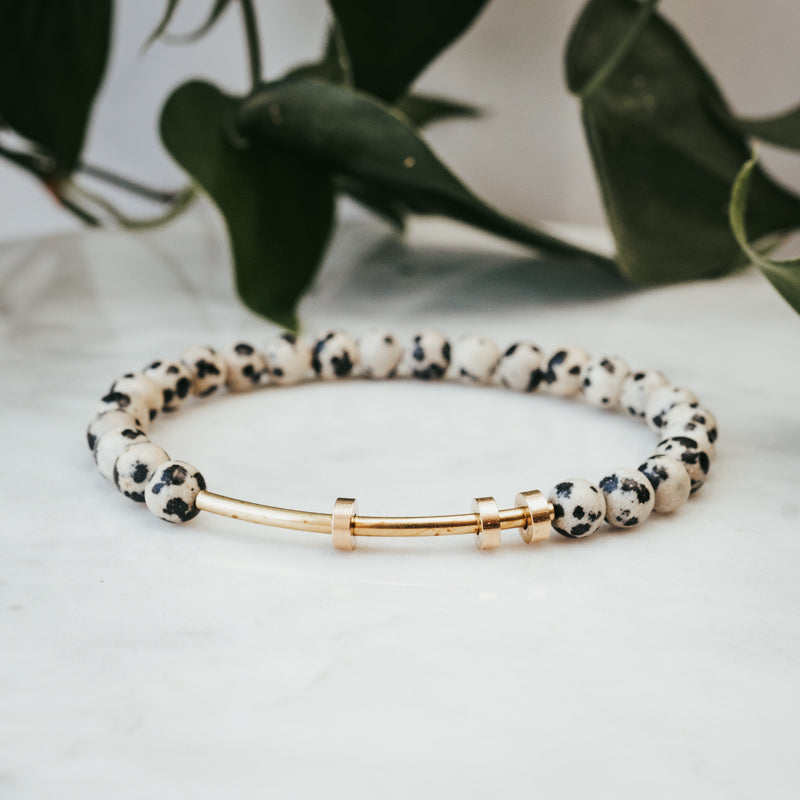 Fidget Dalmatian Jasper Bracelet