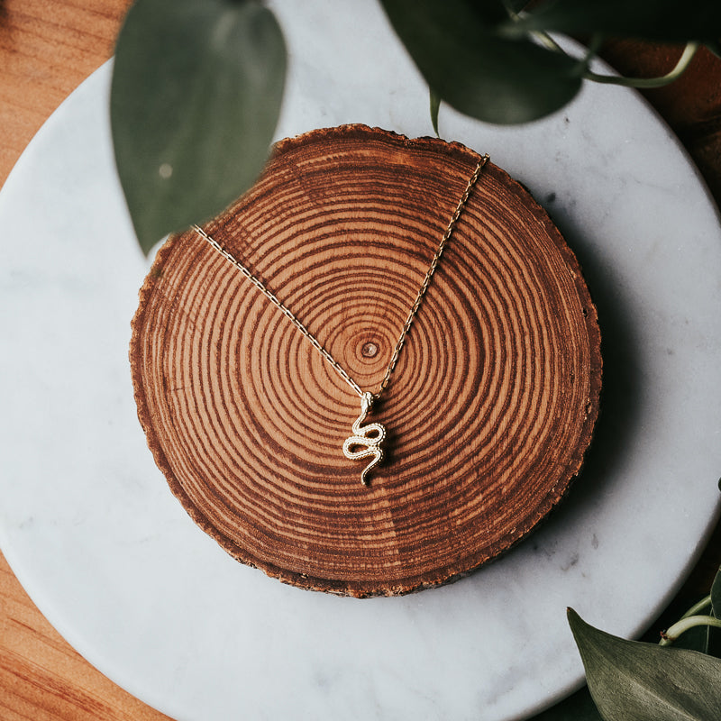 Serpent Shine | Charm Necklace