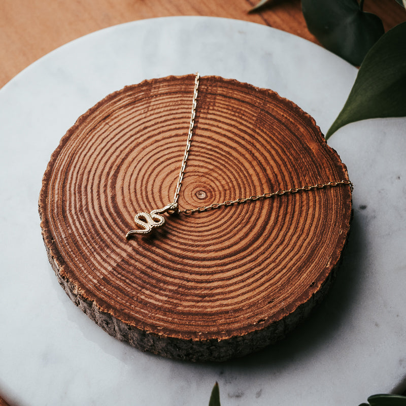 Serpent Shine | Charm Necklace