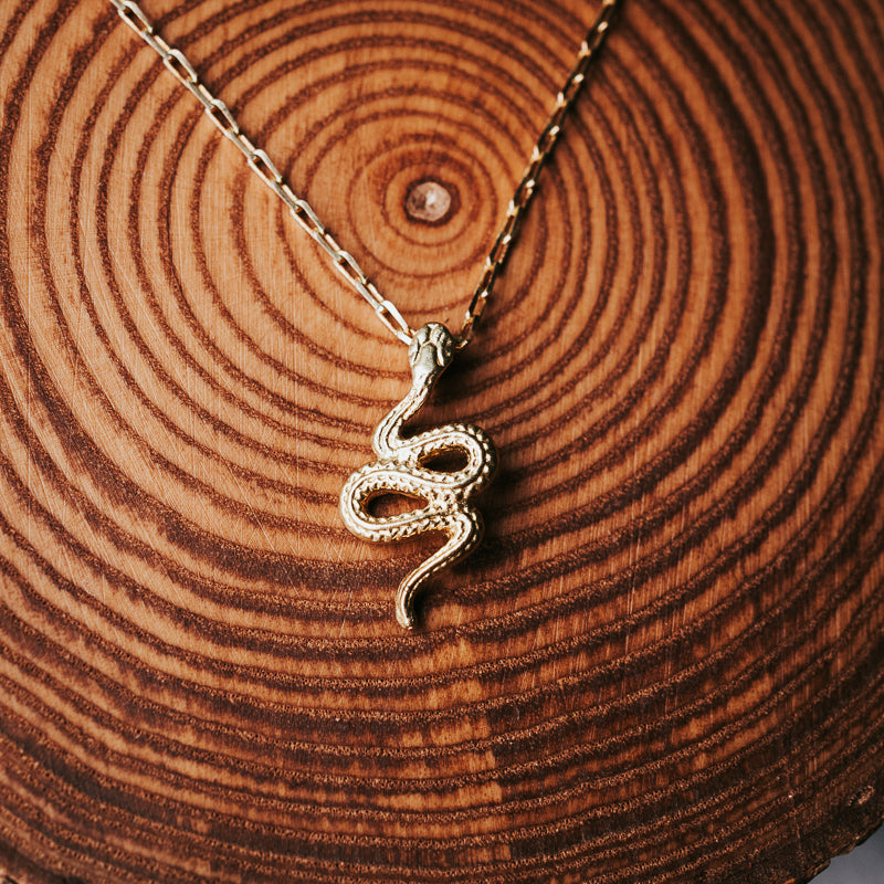 Serpent Shine | Charm Necklace