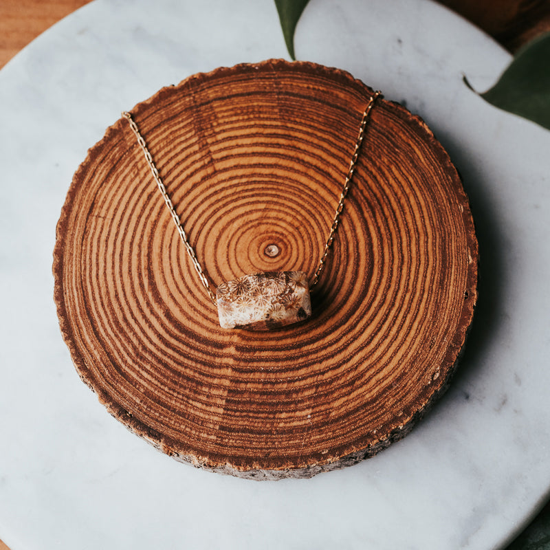 Earthbloom | Fossil Gemstone Necklace