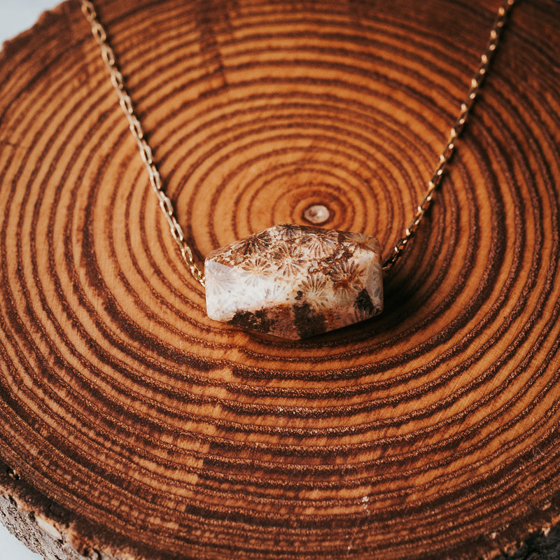 Earthbloom | Fossil Gemstone Necklace