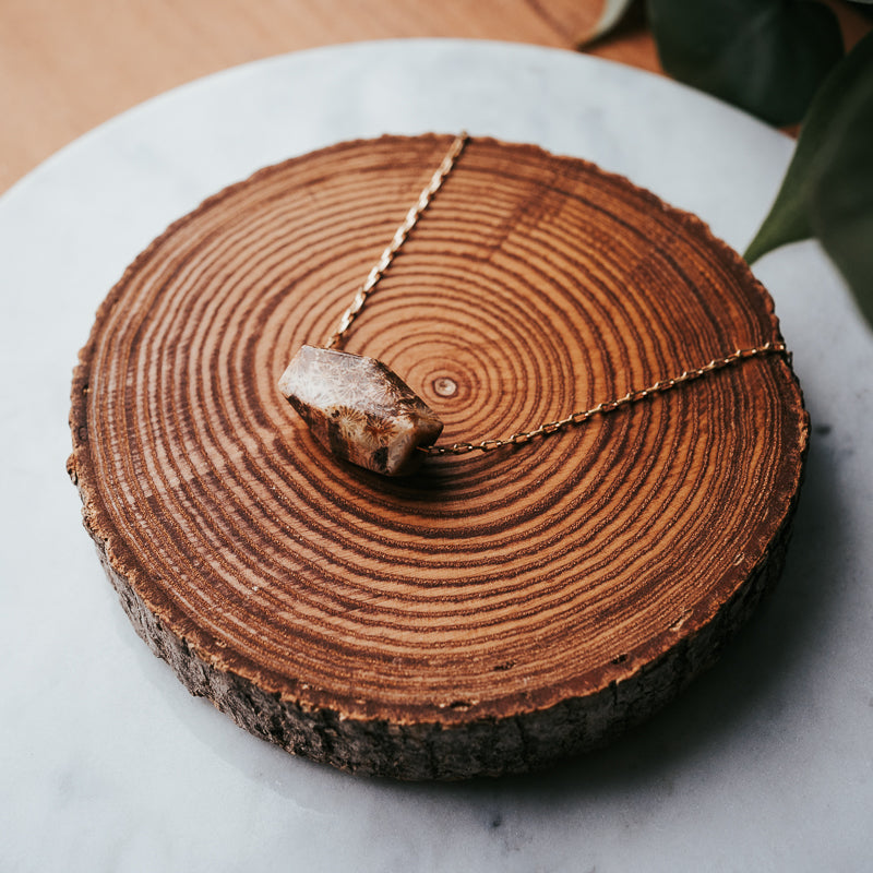 Earthbloom | Fossil Gemstone Necklace