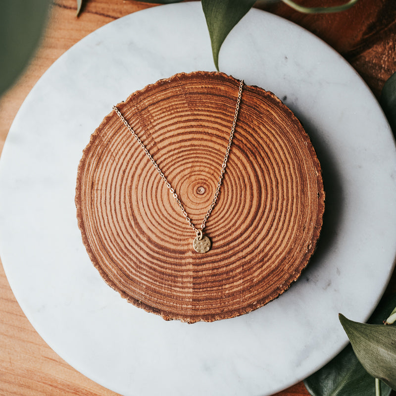Petite Petite | Disc Necklace