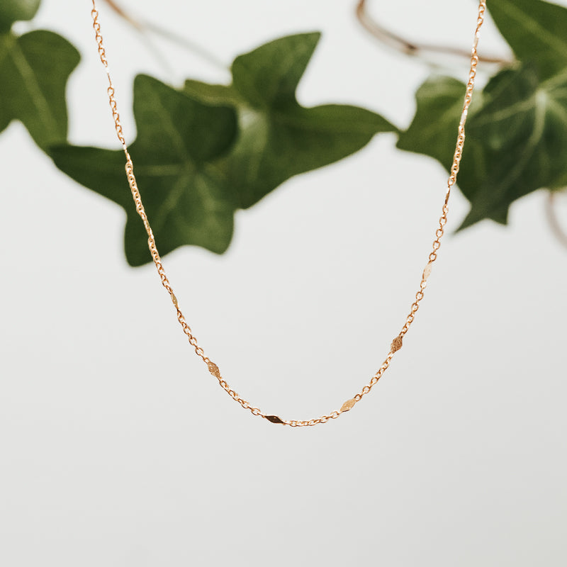 Petite Lozenge Chocker Chain Necklace